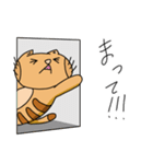 トラネコの日々2（個別スタンプ：20）