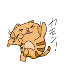 トラネコの日々2（個別スタンプ：30）