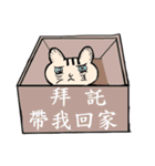 Wayward cute cat（個別スタンプ：21）