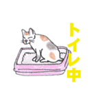 アニマート動物病院スタンプ2（個別スタンプ：36）