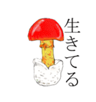 菌類キノコ茸 きのこ Fungi Mushrooms（個別スタンプ：2）