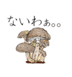 菌類キノコ茸 きのこ Fungi Mushrooms（個別スタンプ：7）