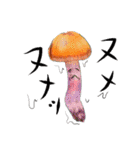 菌類キノコ茸 きのこ Fungi Mushrooms（個別スタンプ：19）