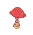 菌類キノコ茸 きのこ Fungi Mushrooms（個別スタンプ：26）