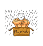 ねこのボディービル（個別スタンプ：38）