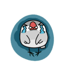 Java sparrow from TAIWAN 2（個別スタンプ：10）