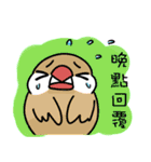 Java sparrow from TAIWAN 2（個別スタンプ：15）