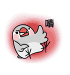 Java sparrow from TAIWAN 2（個別スタンプ：27）