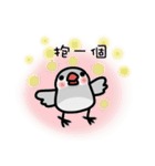 Java sparrow from TAIWAN 2（個別スタンプ：28）