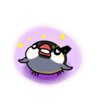 Java sparrow from TAIWAN 2（個別スタンプ：34）