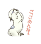 マエガミ犬、海へ行く（個別スタンプ：7）