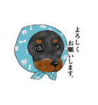 ほっかむりあにまるず（個別スタンプ：17）
