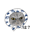 ほっかむりあにまるず（個別スタンプ：24）