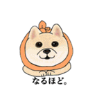 ほっかむりあにまるず（個別スタンプ：31）