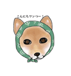 ほっかむりあにまるず（個別スタンプ：34）