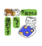 おーいと呼ぶ。猫の組体操（個別スタンプ：7）