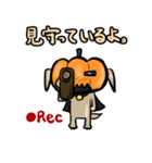 カボチャ犬（日本語版）（個別スタンプ：20）
