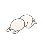 大学生な∞ねこ（個別スタンプ：5）