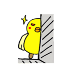 Life of yellow chicks（個別スタンプ：7）