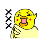 Life of yellow chicks（個別スタンプ：12）