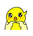 Life of yellow chicks（個別スタンプ：20）