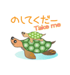 ネコと魚と輪島弁（個別スタンプ：10）