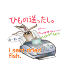 ネコと魚と輪島弁（個別スタンプ：13）