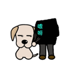 Labrador Bi III（個別スタンプ：6）