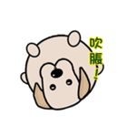 Labrador Bi III（個別スタンプ：21）