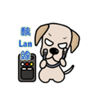 Labrador Bi III（個別スタンプ：22）