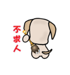 Labrador Bi III（個別スタンプ：30）