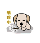 Labrador Bi III（個別スタンプ：32）