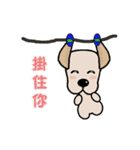 Labrador Bi III（個別スタンプ：38）