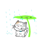ねこ山のネコ達2（個別スタンプ：20）