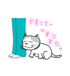 ねこ山のネコ達2（個別スタンプ：21）