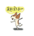 しりあいの犬（個別スタンプ：34）