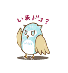 まるまるフクロウ その2（個別スタンプ：1）