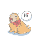 Ms.Didi The Fluffy Golden Retriever（個別スタンプ：2）