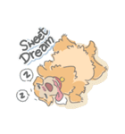 Ms.Didi The Fluffy Golden Retriever（個別スタンプ：8）