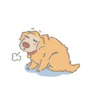 Ms.Didi The Fluffy Golden Retriever（個別スタンプ：35）