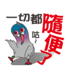 Fun Pigeon P（個別スタンプ：20）