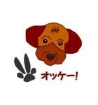 Koco（ココ）の日常（個別スタンプ：1）