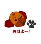 Koco（ココ）の日常（個別スタンプ：3）