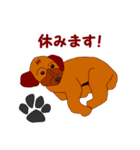 Koco（ココ）の日常（個別スタンプ：4）