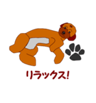 Koco（ココ）の日常（個別スタンプ：6）