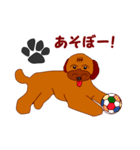 Koco（ココ）の日常（個別スタンプ：11）