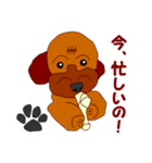 Koco（ココ）の日常（個別スタンプ：31）