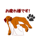 Koco（ココ）の日常（個別スタンプ：35）