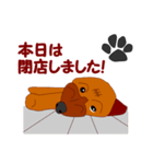 Koco（ココ）の日常（個別スタンプ：39）