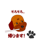 Koco（ココ）の日常（個別スタンプ：40）